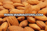 Raw Natural Almond Nuts for Sale