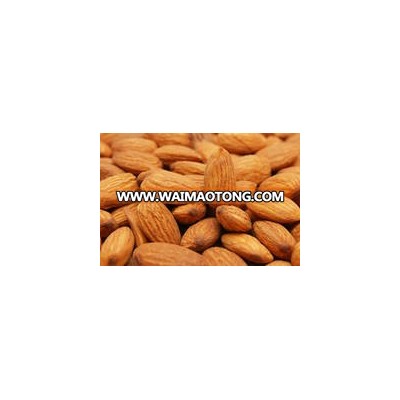 Raw Natural Almond Nuts for Sale